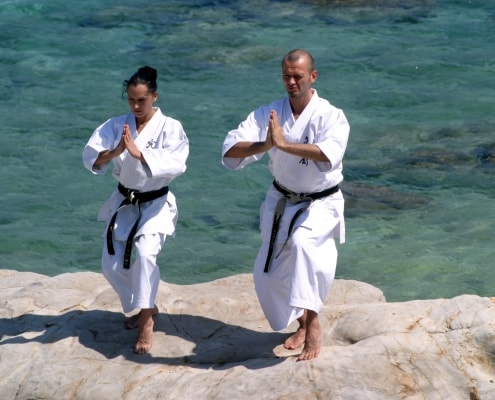 Karate Okinawa, Shorinryu Kyudokan
