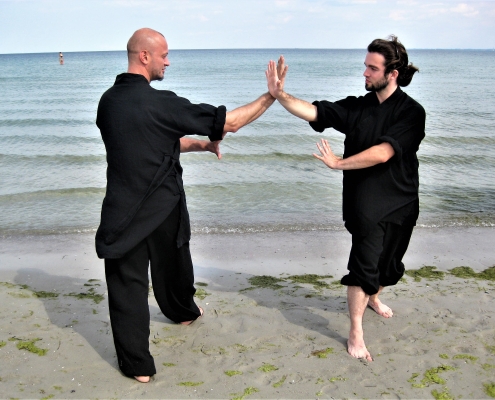 Tai Chi, Taiji, Qi Gong, Xingyi, Bagua, Tai Chi Schwert, Tai Chi Fächer, Seminar, Mugen Dojo Mülheim, Kampfkunst, Kampfsport