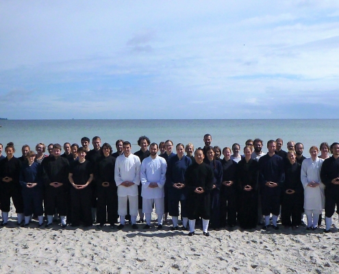 Tai Chi, Taiji, Qi Gong, Xingyi, Bagua, Tai Chi Schwert, Tai Chi Fächer, Seminar, Mugen Dojo Mülheim, Kampfkunst, Kampfsport