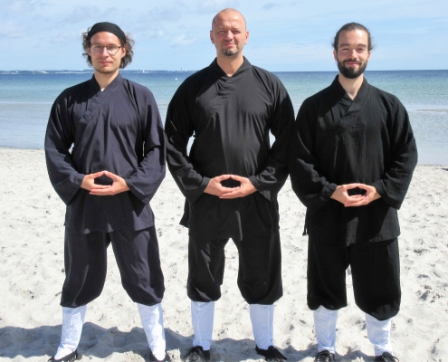 Tai Chi, Taiji, Qi Gong, Xingyi, Bagua, Tai Chi Schwert, Tai Chi Fächer, Seminar, Mugen Dojo Mülheim, Kampfkunst, Kampfsport