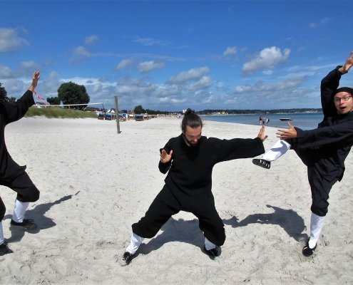 Tai Chi, Taiji, Qi Gong, Xingyi, Bagua, Tai Chi Schwert, Tai Chi Fächer, Seminar, Mugen Dojo Mülheim, Kampfkunst, Kampfsport